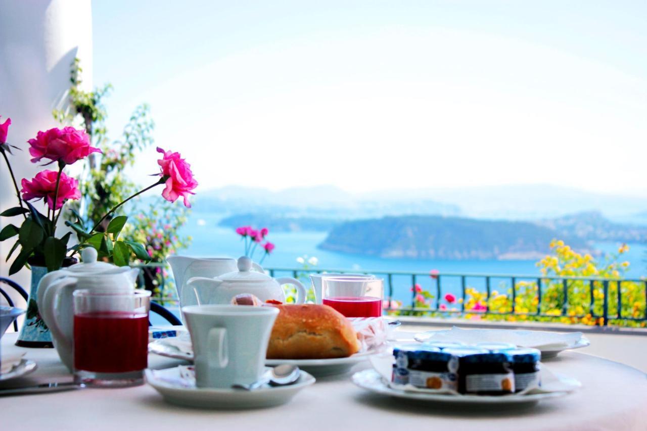 La Pergola Del Torchio Bed & Breakfast อีสเกีย ภายนอก รูปภาพ