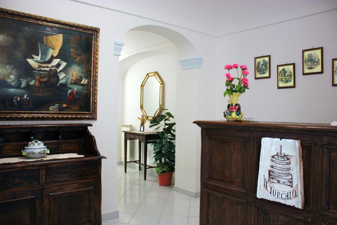La Pergola Del Torchio Bed & Breakfast อีสเกีย ภายนอก รูปภาพ