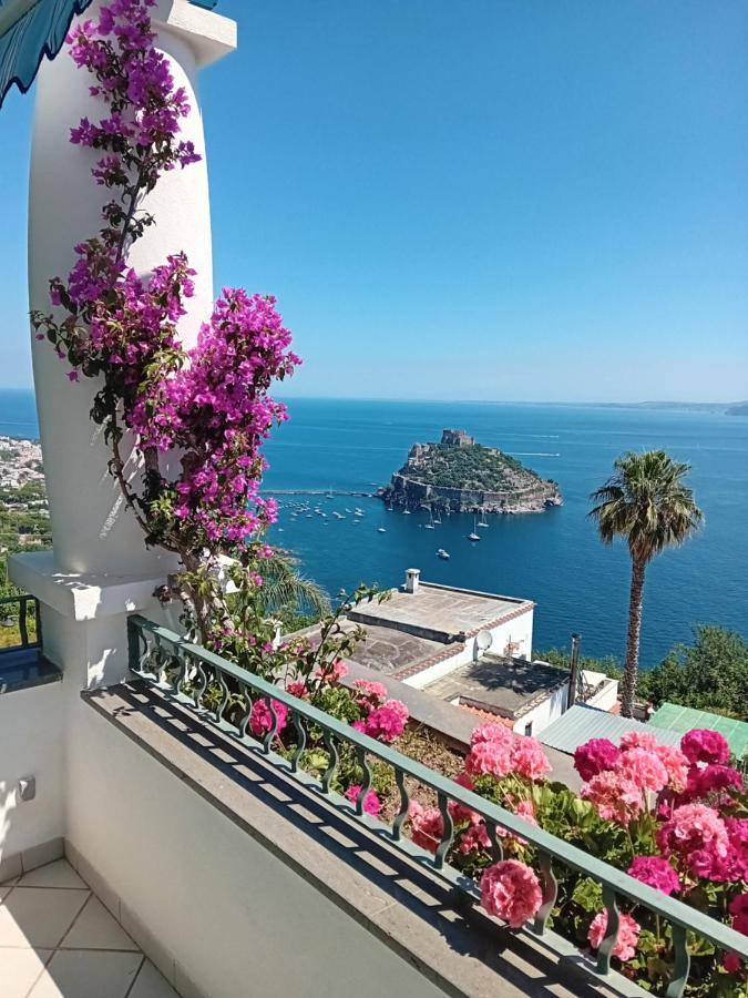 La Pergola Del Torchio Bed & Breakfast อีสเกีย ภายนอก รูปภาพ